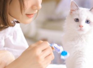 全国伴游模特主持人上海商务模特招聘信息 - 35 - https://vip.gstudiovip.com/sh/%e5%85%a8%e5%9b%bd%e4%bc%b4%e6%b8%b8%e6%a8%a1%e7%89%b9%e4%b8%bb%e6%8c%81%e4%ba%ba%e4%b8%8a%e6%b5%b7%e5%95%86%e5%8a%a1%e6%a8%a1%e7%89%b9%e6%8b%9b%e8%81%98%e4%bf%a1%e6%81%af.html