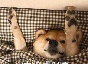 【悦君临沧商务模特上门亭】 - 3 - https://vip.gstudiovip.com/%e3%80%90%e6%82%a6%e5%90%9b%e4%b8%b4%e6%b2%a7%e5%95%86%e5%8a%a1%e6%a8%a1%e7%89%b9%e4%b8%8a%e9%97%a8%e4%ba%ad%e3%80%91.html